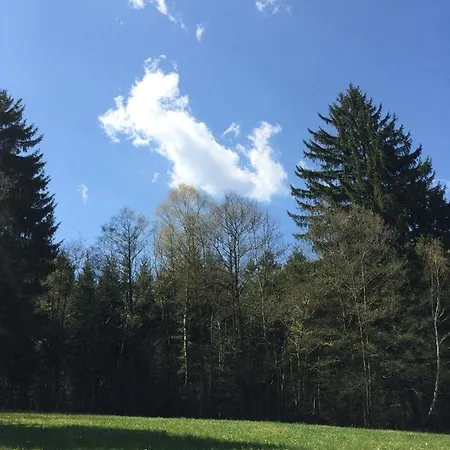 Ferienwohnung Mit Privatem Naturschwimmteich Apartamento