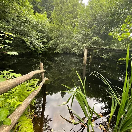 Ferienwohnung Mit Privatem Naturschwimmteich *