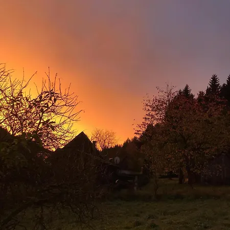 Ferienwohnung Mit Privatem Naturschwimmteich