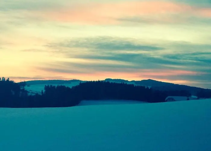 1000 Krauthof Apartment