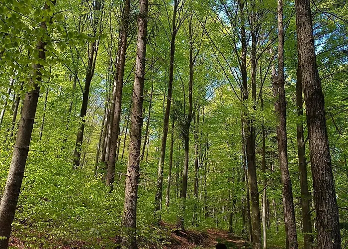 Apartment 1000 Krauthof