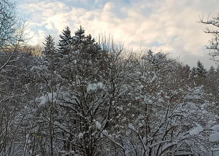 1000 Krauthof Apartment *